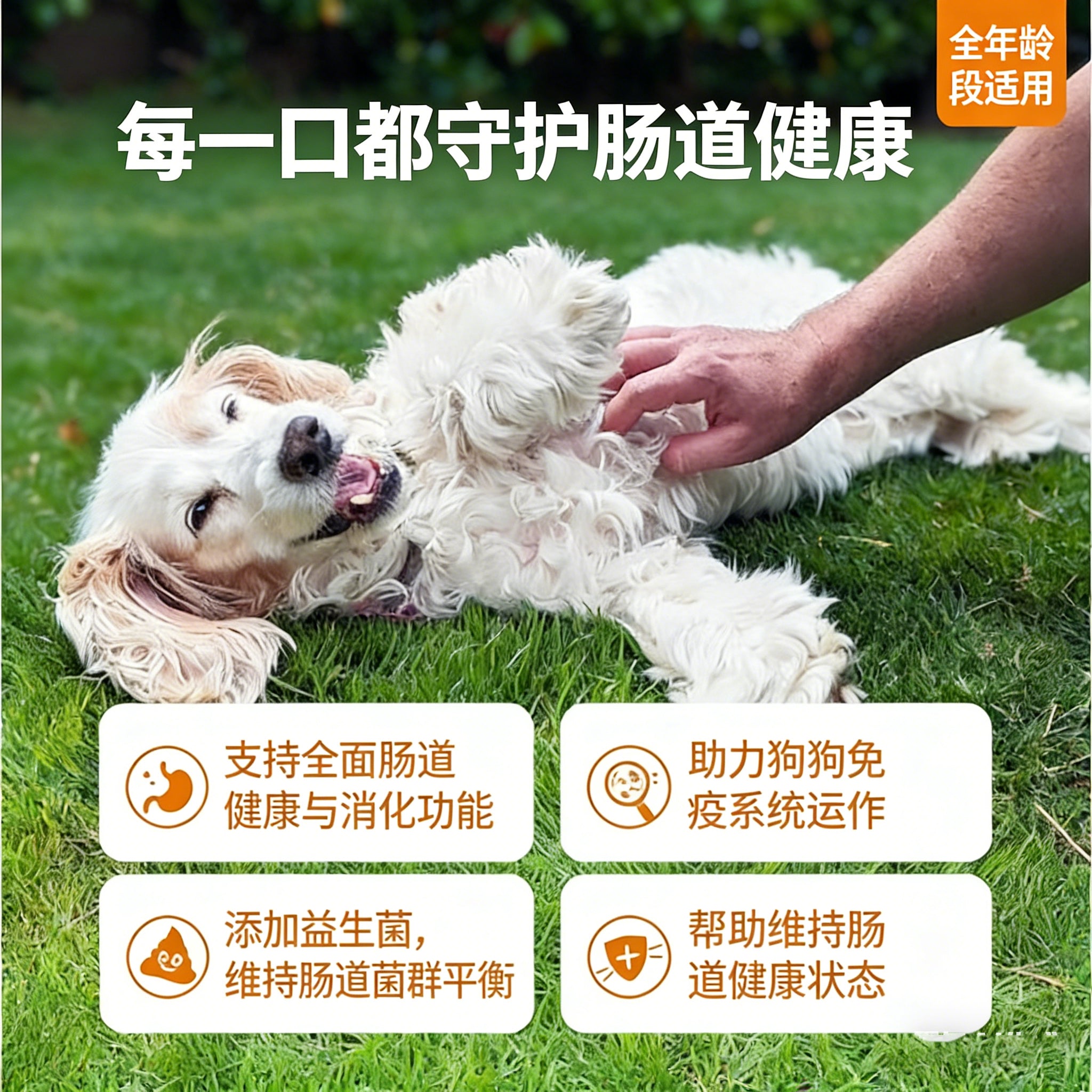 益生菌软颗粒 呵护肠道 促进消化 适口性好 易喂食