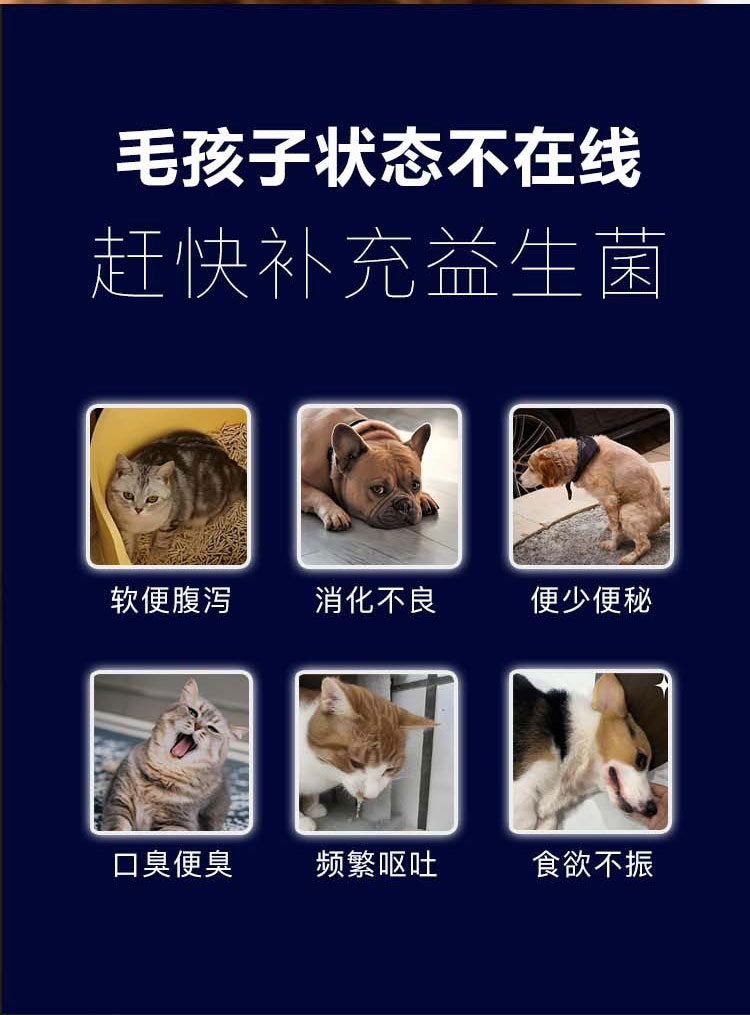 益生菌软颗粒 呵护肠道 促进消化 适口性好 易喂食