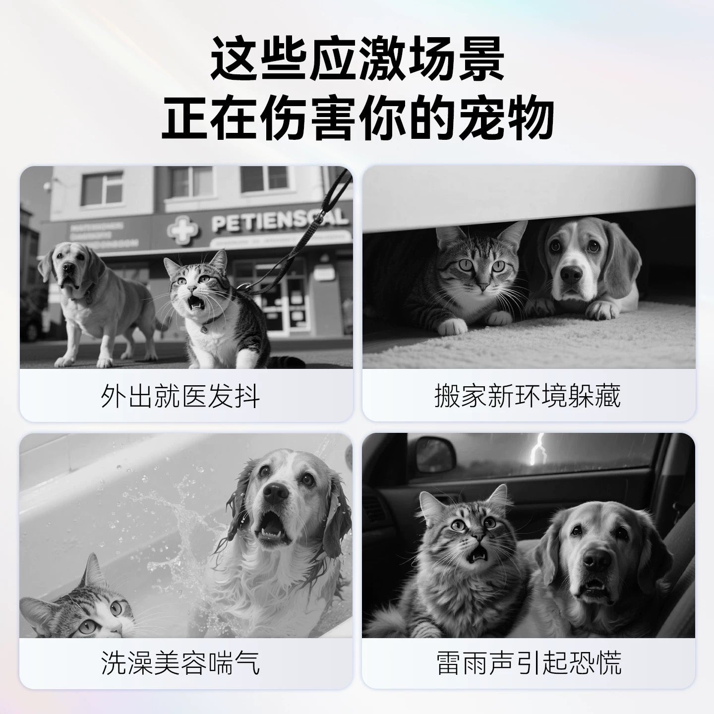 宠物情绪舒缓软颗粒 缓解焦虑 安抚情绪 犬猫通用