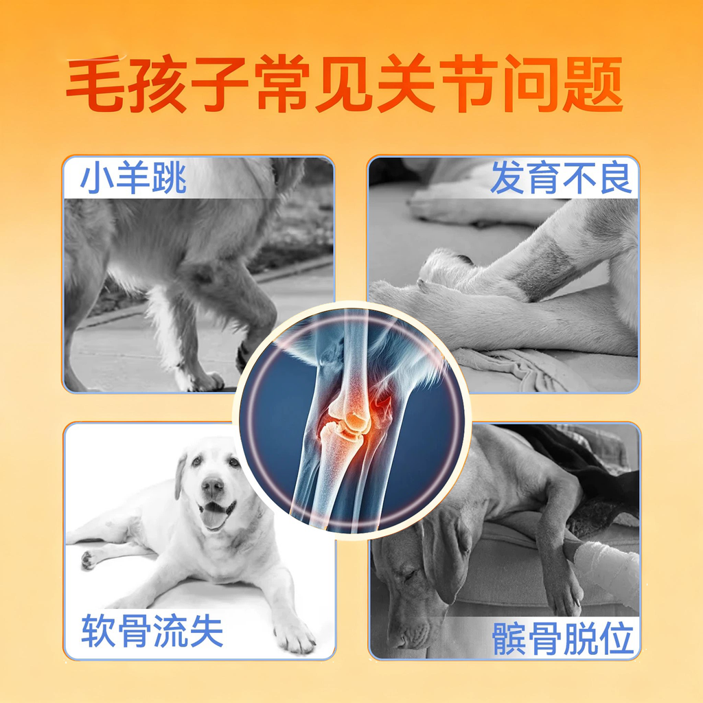 软骨素葡萄糖胺软颗粒 犬猫通用 呵护关节 强健骨骼